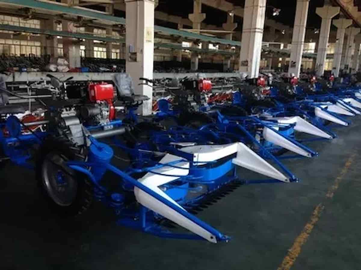 تصویر 3 از دروگر گندم بافه بلند برای برداشت تمیز و منظم در زمین های وسیع